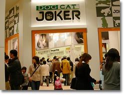 ̿DOGCAT JOKER