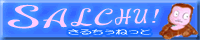 salbanner_moja02
